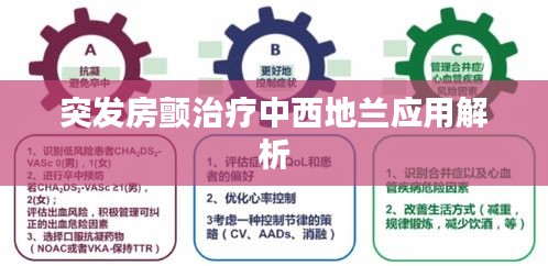 突发房颤治疗中西地兰应用解析