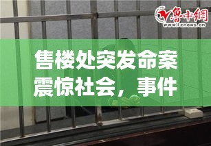 售楼处突发命案震惊社会，事件内幕揭秘！