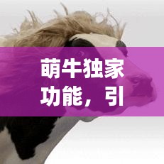 萌牛独家功能，引领新时代的创新科技风潮体验