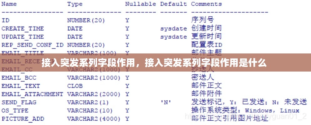 接入突发系列字段作用，接入突发系列字段作用是什么 