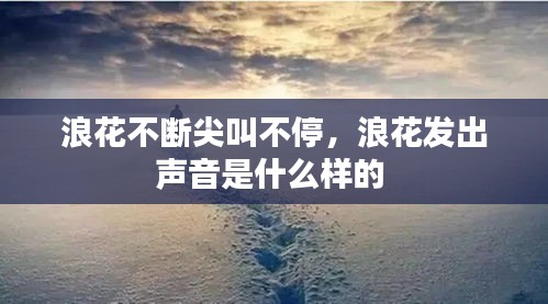 浪花不断尖叫不停，浪花发出声音是什么样的 