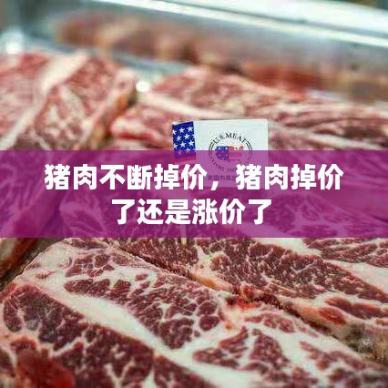 猪肉不断掉价，猪肉掉价了还是涨价了 