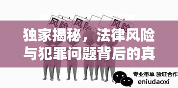 独家揭秘，法律风险与犯罪问题背后的真相