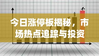 今日涨停板揭秘，市场热点追踪与投资机会洞察