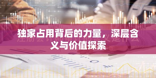 独家占用背后的力量，深层含义与价值探索