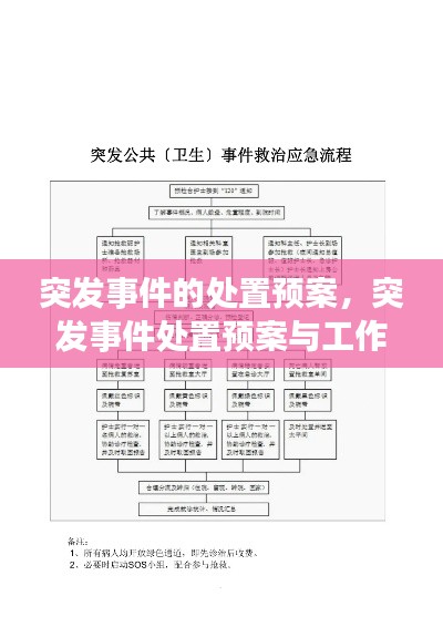 突发事件的处置预案，突发事件处置预案与工作流程诊所 