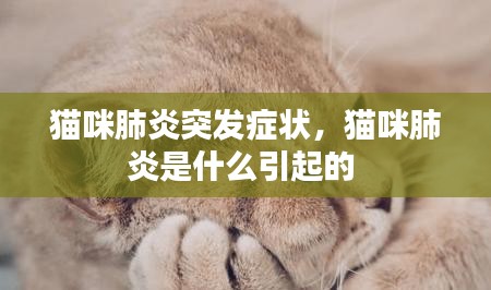 猫咪肺炎突发症状，猫咪肺炎是什么引起的 