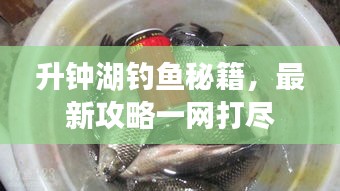 升钟湖钓鱼秘籍，最新攻略一网打尽