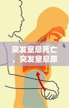 突发窒息死亡，突发窒息原因 