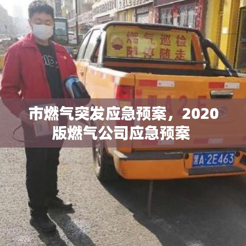 市燃气突发应急预案，2020版燃气公司应急预案 