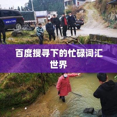 百度搜寻下的忙碌词汇世界