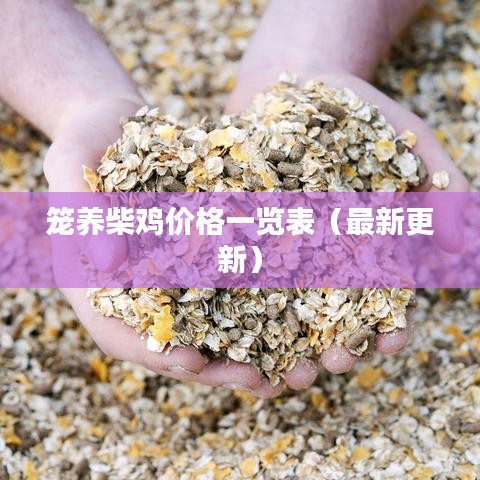 笼养柴鸡价格一览表（最新更新）