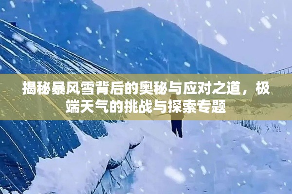 揭秘暴风雪背后的奥秘与应对之道，极端天气的挑战与探索专题