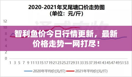 智利鱼价今日行情更新，最新价格走势一网打尽！