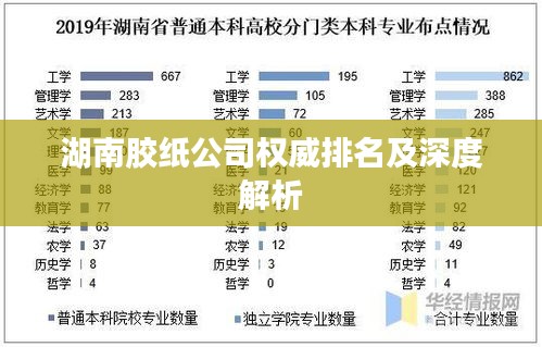 湖南胶纸公司权威排名及深度解析