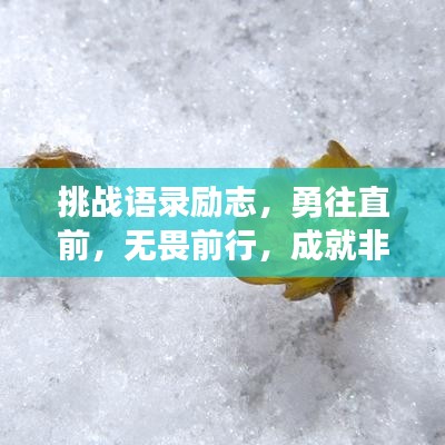 挑战语录励志，勇往直前，无畏前行，成就非凡人生！