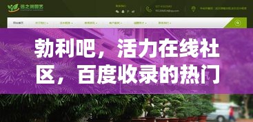 勃利吧，活力在线社区，百度收录的热门话题聚集地