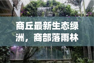 商丘最新生态绿洲，商部落雨林生态植物园