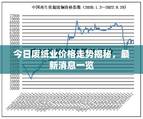 今日废纸业价格走势揭秘，最新消息一览