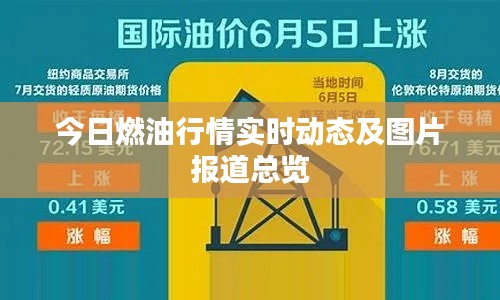 今日燃油行情实时动态及图片报道总览