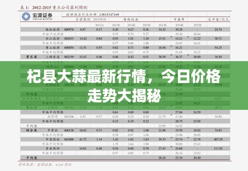 杞县大蒜最新行情，今日价格走势大揭秘