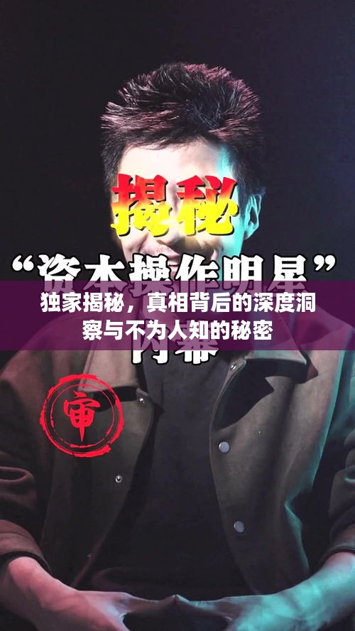 独家揭秘，真相背后的深度洞察与不为人知的秘密