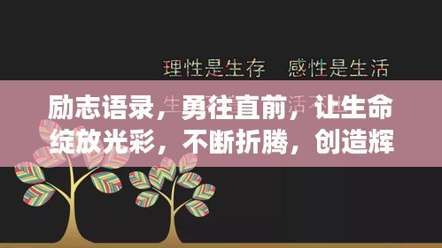 励志语录，勇往直前，让生命绽放光彩，不断折腾，创造辉煌！