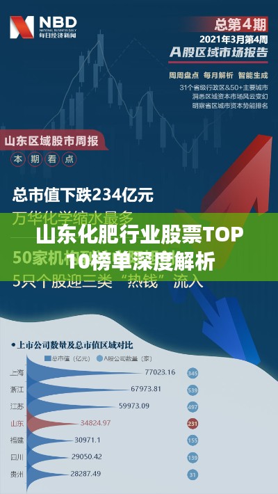 山东化肥行业股票TOP10榜单深度解析