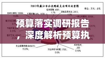 预算落实调研报告，深度解析预算执行现状与挑战