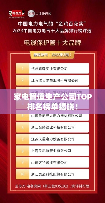 家电管道生产公司TOP排名榜单揭晓！