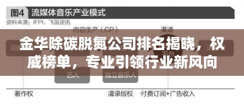 金华除碳脱氮公司排名揭晓，权威榜单，专业引领行业新风向！