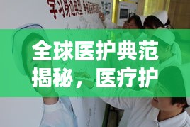 全球医护典范揭秘，医疗护理领域排名及卓越实践