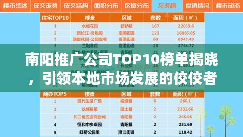 南阳推广公司TOP10榜单揭晓，引领本地市场发展的佼佼者