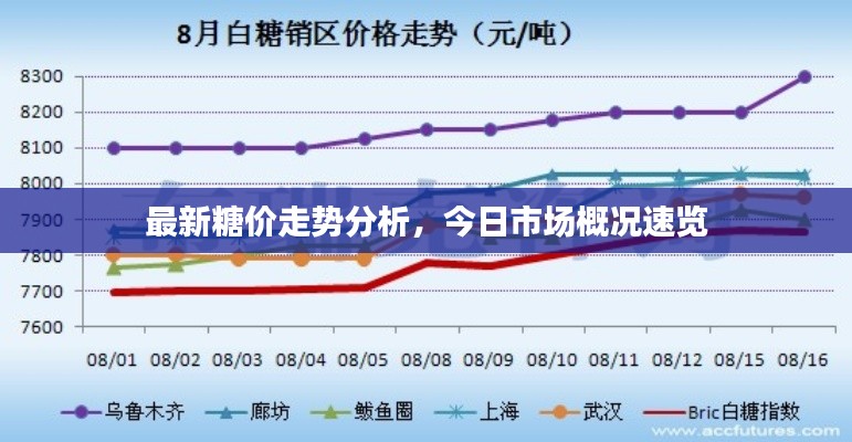 最新糖价走势分析，今日市场概况速览