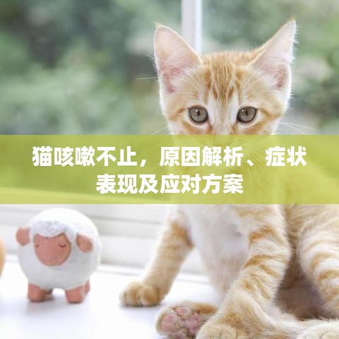 猫咳嗽不止，原因解析、症状表现及应对方案