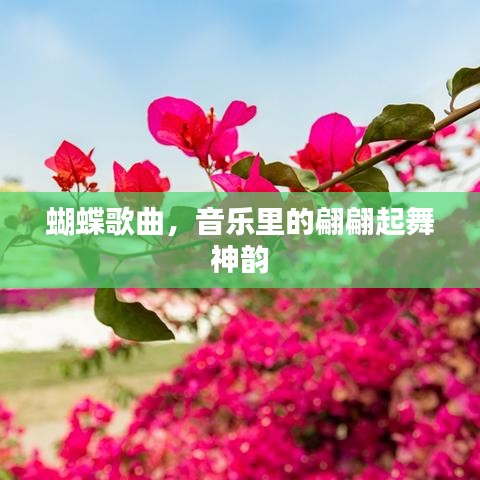 蝴蝶歌曲，音乐里的翩翩起舞神韵