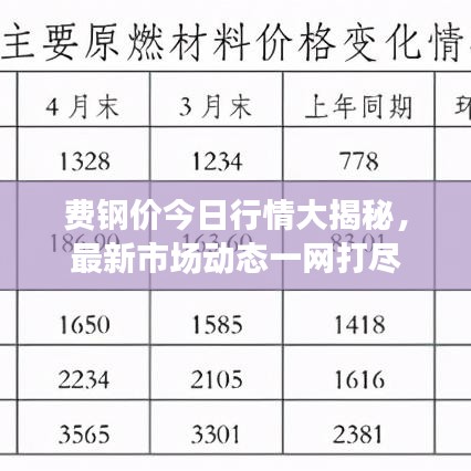 费钢价今日行情大揭秘，最新市场动态一网打尽