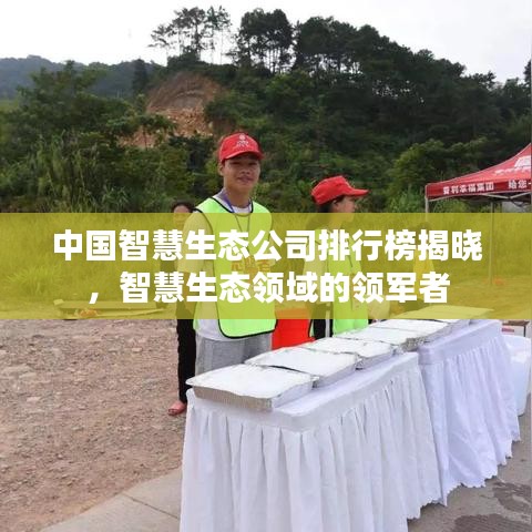 中国智慧生态公司排行榜揭晓，智慧生态领域的领军者