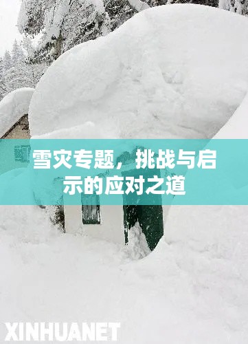 雪灾专题，挑战与启示的应对之道