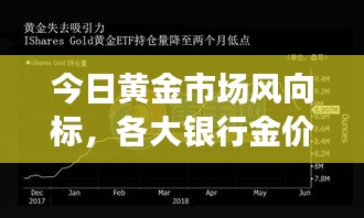 今日黄金市场风向标，各大银行金价最新动态解析