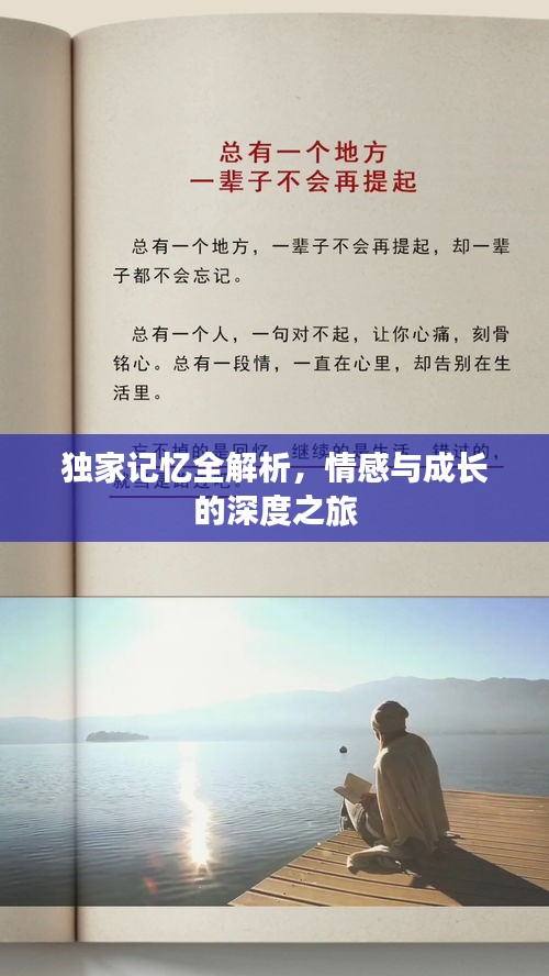 独家记忆全解析，情感与成长的深度之旅