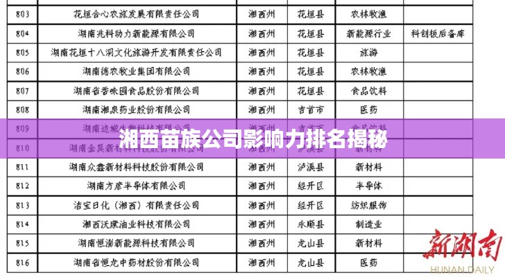 湘西苗族公司影响力排名揭秘