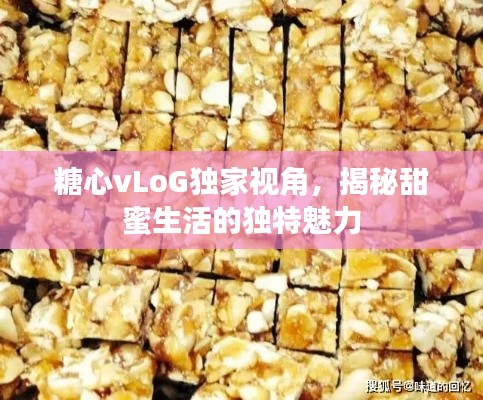 糖心vLoG独家视角，揭秘甜蜜生活的独特魅力