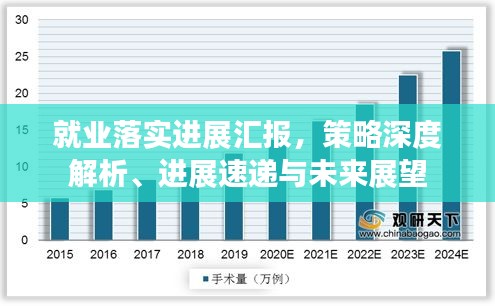 就业落实进展汇报，策略深度解析、进展速递与未来展望