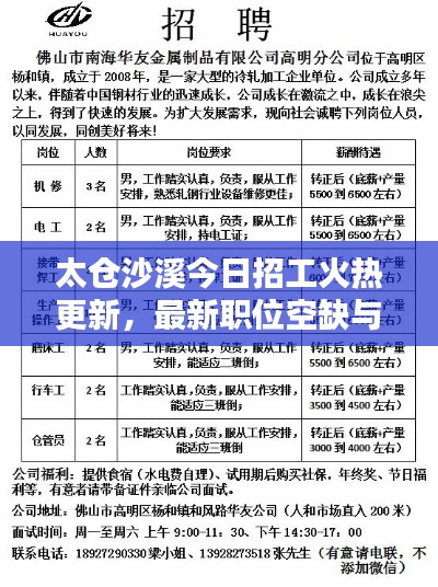 太仓沙溪今日招工火热更新，最新职位空缺与招聘信息全解析