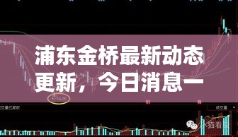 浦东金桥最新动态更新，今日消息一网打尽！