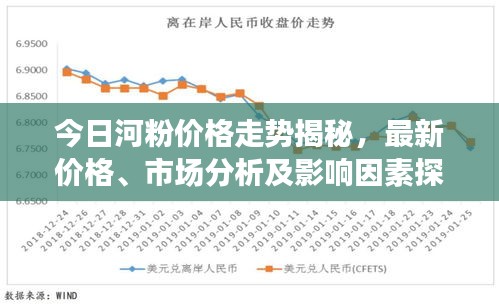 今日河粉价格走势揭秘，最新价格、市场分析及影响因素探讨