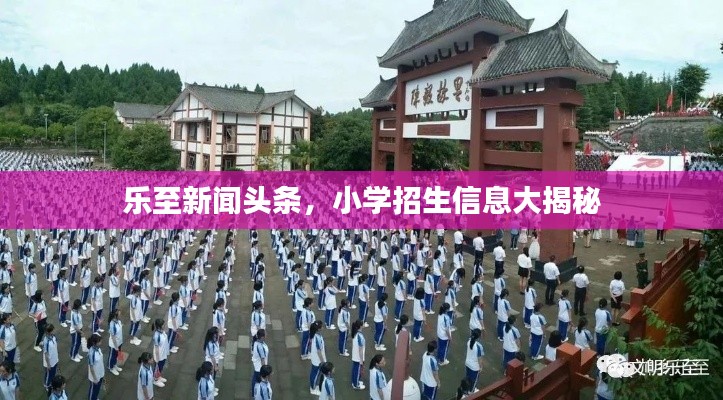 乐至新闻头条，小学招生信息大揭秘