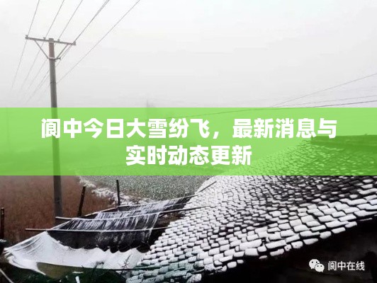 阆中今日大雪纷飞，最新消息与实时动态更新