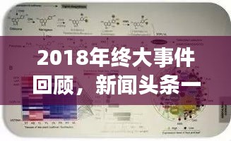 2018年终大事件回顾，新闻头条一览无余！